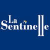 algeria-logo